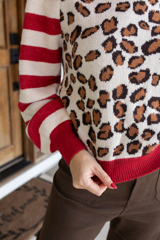 Cheetah Sisters High Neck Sweater