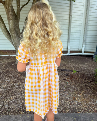 Neyland Sparkle Smocked Dress