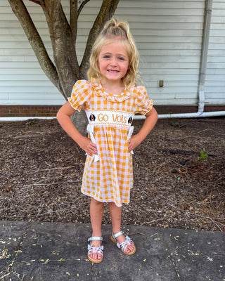 Neyland Sparkle Smocked Dress