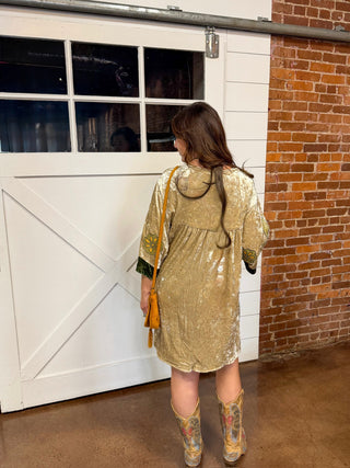 Golden Meadow Velvet Dress